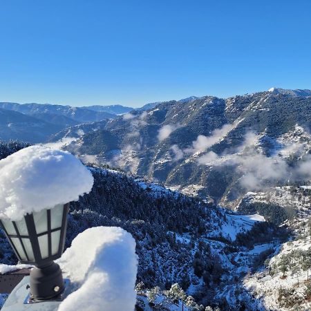 The Getaway Bed and Breakfast Shimla Exteriör bild